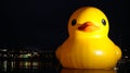 Giant Rubber Duck at Darling Harbour