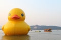 Giant Rubber Duck Debuts in Beijing