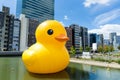 Giant Rubber Duck at Osaka Royalty Free Stock Photo