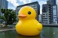 Giant Rubber Duck at Osaka Royalty Free Stock Photo
