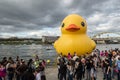 Giant Rubber Duck in Pittsburgh