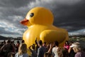 Giant Rubber Duck in Pittsburgh