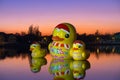 Giant rubber duck, Udonthani, Thailand