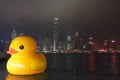 Giant Rubber Duck Visits Hong Kong