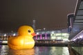 Giant Rubber Duck Visits Hong Kong