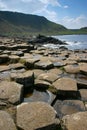 Giant's Causeway Royalty Free Stock Photo