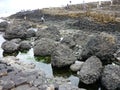 Giant's Causeway