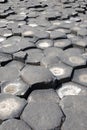 Giant's Causeway Stones Royalty Free Stock Photo