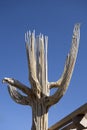 Giant Saguaro Cactus skeleton Royalty Free Stock Photo