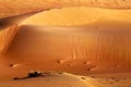 Giant sand dunes in desert. Ripple sand texture pattern.