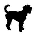 Giant Schnauzer Dog Silhouette Found In Map Of Europe Royalty Free Stock Photo