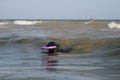 Giant Schnauzer stay with a puller on the surf line in the waves in the sea