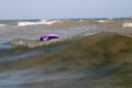 Giant Schnauzer swims with a puller on the surf line in the waves in the sea