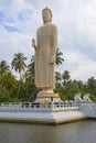 A giant sculpture of a standing Buddha. Hikkaduwa