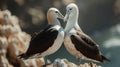 These giant sea birds oftentimes form dedicated couples. Generative Ai Royalty Free Stock Photo