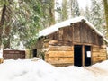 Gamblin Cabin in the Woods at Giant Sequoia National Park