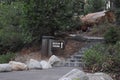 Giant Sequoias in California