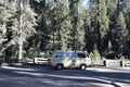 Giant Sequoias in California