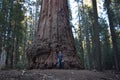 Giant Sequoias in California