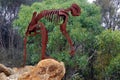 Giant short-faced kangaroo skeleton in Naracoorte Caves National Park South Australia Royalty Free Stock Photo