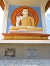 Giant Buddha statue in Sri Lanka Royalty Free Stock Photo