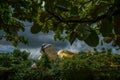 Giant sleeping Buddha, Bago, myanmar. Royalty Free Stock Photo