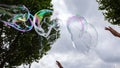 giant soap bubbles explode at the touch of children's hands Royalty Free Stock Photo