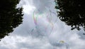 giant soap bubbles explode at the touch of children's hands Royalty Free Stock Photo