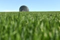 Giant space antenna in the green field. space concept