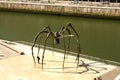 The giant spider