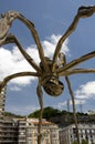 The giant spider, Bilbao, Spain