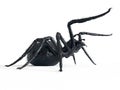 a giant spider Royalty Free Stock Photo