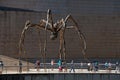 Giant Spider, Guggenheim, Bilbao