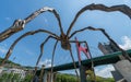 Giant spider at the Guggenheim museum