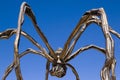 The giant spider Mama, by Louise Bourgeois