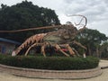 Giant Spiney Lobster