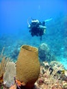 Giant sponge and diver Royalty Free Stock Photo