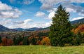 Giant spruce tree in mountainous autumnal scenery Royalty Free Stock Photo