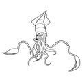 Giant squid illustration Royalty Free Stock Photo