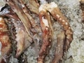 Giant squid tantacles for sale. Royalty Free Stock Photo