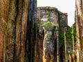 Giant standing Buddha statue in Polonnaruwa, Sri Lanka Royalty Free Stock Photo