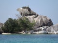 Giant Bird Head Rock on The Sea Royalty Free Stock Photo