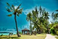 Giant stunning coconut palm tree with a massage hut and deck chairs under the beautiful blue sky on the shores of the sandy Royalty Free Stock Photo