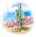 Giant succulent Carnegiea in the desert landscape