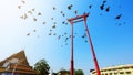 Giant Swing with birds, Bangkok Royalty Free Stock Photo