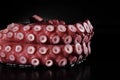 Giant tako Royalty Free Stock Photo