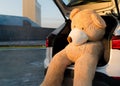 Giant teddy bears with red ribbons sitting on top of the car hood outdoor. Space for text. Love, valentines day concept Royalty Free Stock Photo