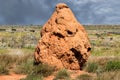 Giant termitary termites nest in Australia Royalty Free Stock Photo