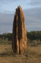 Giant termite mound Royalty Free Stock Photo