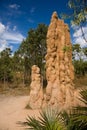 Giant termite mound Royalty Free Stock Photo